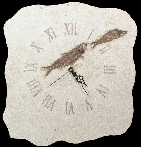 Tall Clock With Two Knightia Fish Fossils - Wyoming #51437